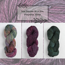 Indlæs billede til gallerivisning Malabrigo Dos Tierras Garnpakke til The Shift Cowl