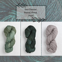 Indlæs billede til gallerivisning Malabrigo Dos Tierras Garnpakke til The Shift Cowl