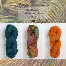 Indlæs billede til gallerivisning Malabrigo Dos Tierras Garnpakke til The Shift Cowl