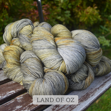 Indlæs billede til gallerivisning Malabrigo Sock