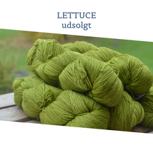 Indlæs billede til gallerivisning Malabrigo Sock