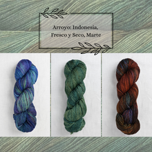 Indlæs billede til gallerivisning Malabrigo Arroyo Garnpakke til The Shift Cowl