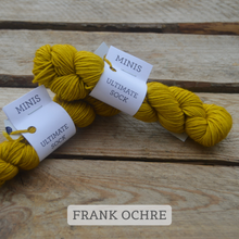 Indlæs billede til gallerivisning Malabrigo Ultimate Sock - Minis