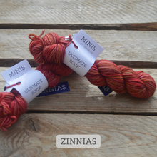 Indlæs billede til gallerivisning Malabrigo Ultimate Sock - Minis