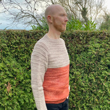 Indlæs billede til gallerivisning Malabrigo Dos Tierras Garnpakke til Familie Sweateren