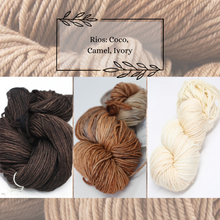 Indlæs billede til gallerivisning Malabrigo Rios Garnpakke til The Shift Cowl