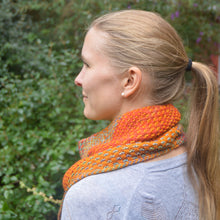 Indlæs billede til gallerivisning Malabrigo Dos Tierras Garnpakke til The Shift Cowl