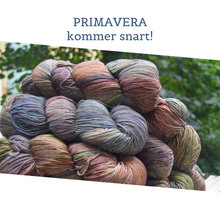 Indlæs billede til gallerivisning Malabrigo Arroyo
