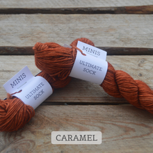 Indlæs billede til gallerivisning Malabrigo Ultimate Sock - Minis
