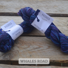 Indlæs billede til gallerivisning Malabrigo Ultimate Sock - Minis
